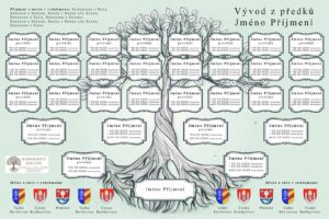 Vývod ze 16 předků – grafická šablona 11