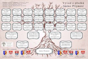 Vývod ze 16 předků – grafická šablona 5