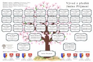 Vývod ze 16 předků – grafická šablona 6