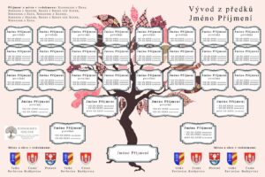 Vývod ze 16 předků – grafická šablona 8