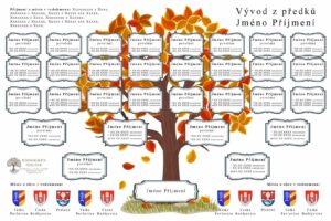 Vývod ze 16 předků – grafická šablona 9